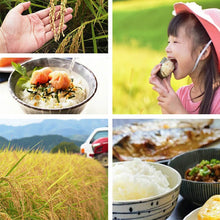 画像をギャラリービューアに読み込む, 和柄のお米ギフト 丹波篠山産こしひかり 真空パック 白米 150g 1合